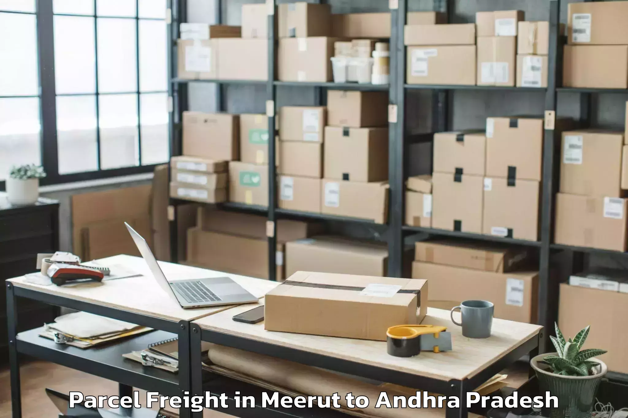 Book Meerut to Ongole Parcel Freight Online